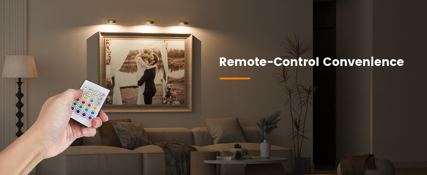 Picture Lights for Wall