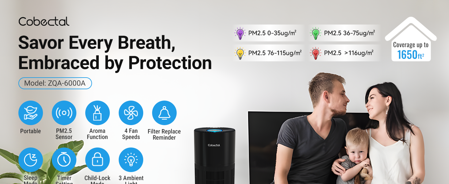 Home Air Purifier