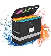 Hanging File Organizer, Fireproof Desktop File Holder with Lock, Suitable for Hanging File Folder...