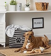 Franco the dog laying next to his storage bin filled with toys