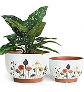 YBX 8 Inch &amp; 6 Inch Terracotta Plant Pots, Flower Pots for Indoor Plants with Drainage, Planters ...
