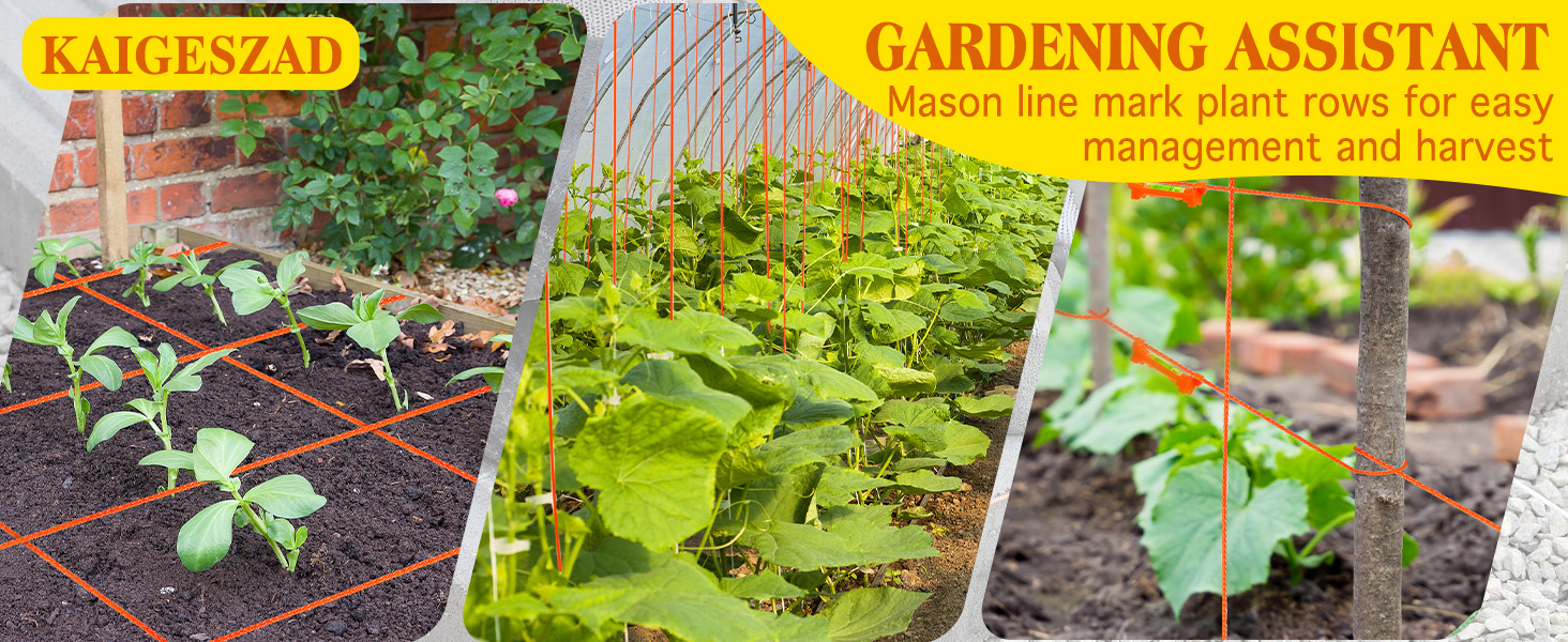 Mason Line String