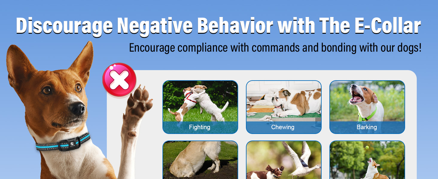 dog shock collar with remote control