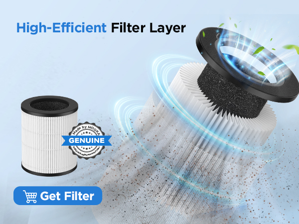 Air Purifiers for Home Large Room