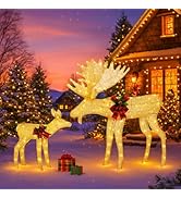 Shintenchi 2 pcs Lighted Christmas Deer Family, Outdoor Yard Decoration with 170 LED Lights, Zips...