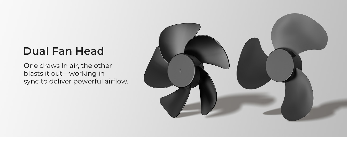 Dual Power, Stronger Wind