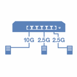 2.5G Ports