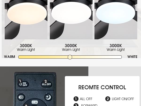 ceiling fans with lights