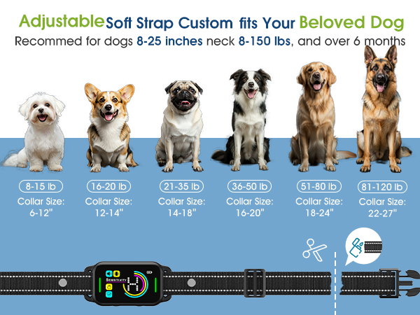 anti bark device stop barking dog collar