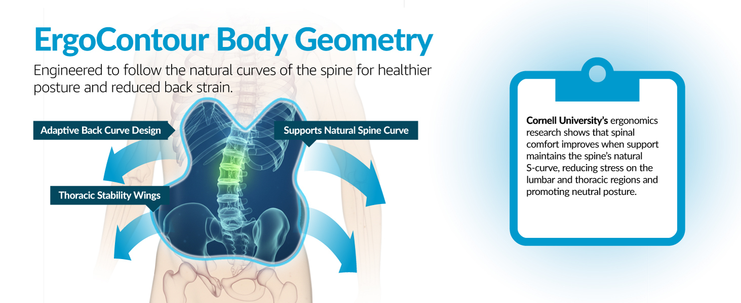 ErgoContour Body Geometry