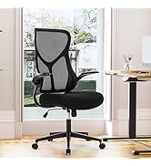 DUMOS Ergonomic Office Chair, High Back Comfy Desk Chair with Wheels,Swivel Rolling Flip-up Arms ...