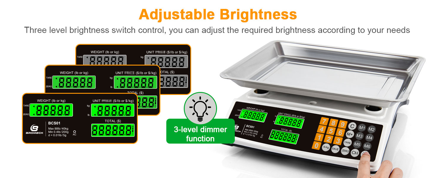 Commercial food scale