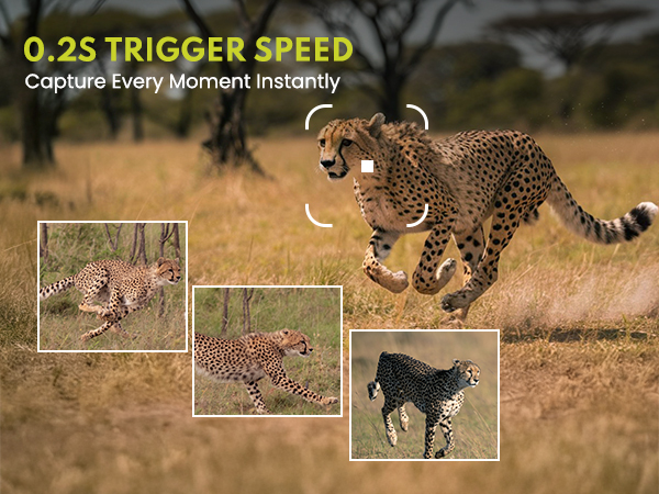 trail cameras with night vision motion activated waterproof