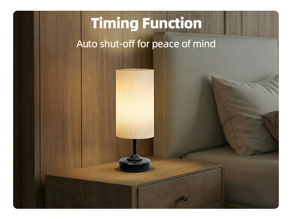 Cordless Table Lamp
