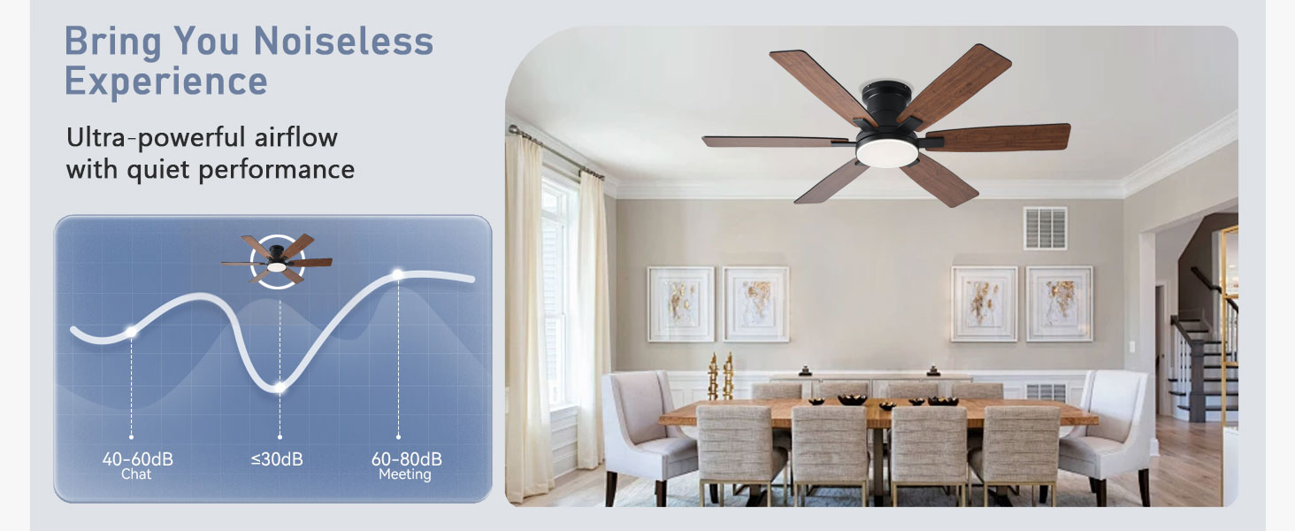 Ceiling Fans with Lights