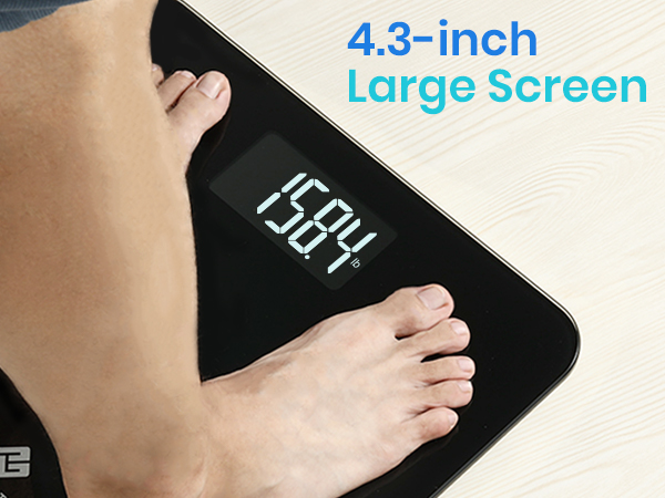 4.3-inch large screen