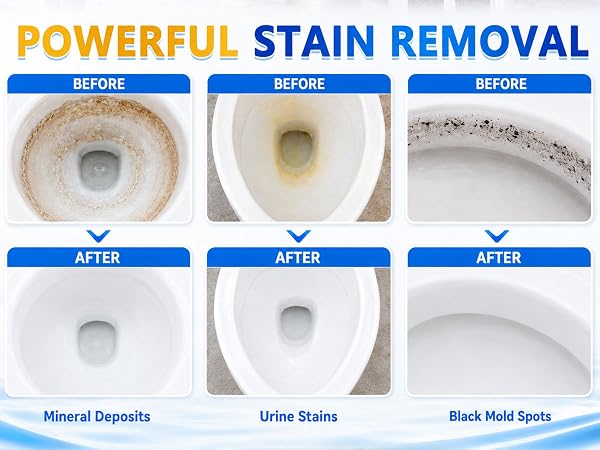 toilet ring remover