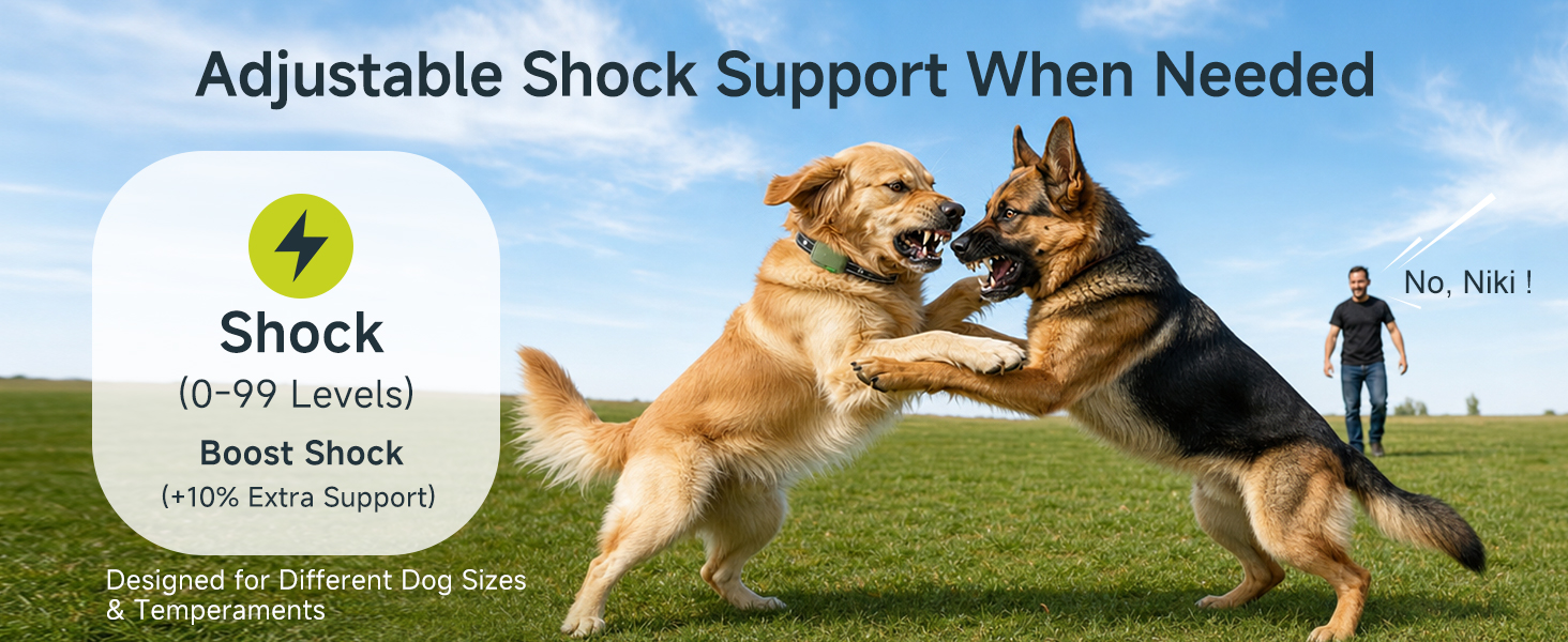 dog shock collar