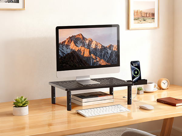 Canyora Computer Monitor Stand Riser with Storage