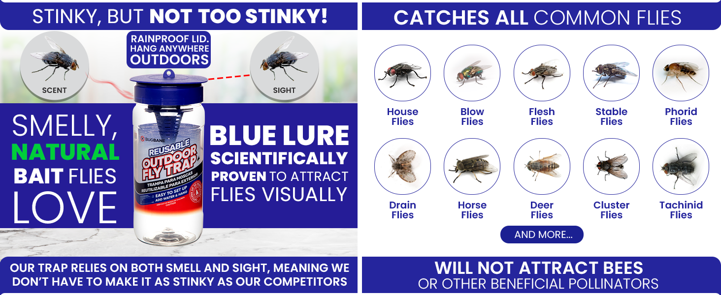 Flies attracted by visual lure and the scent of the bait making this the best fly trap for outside