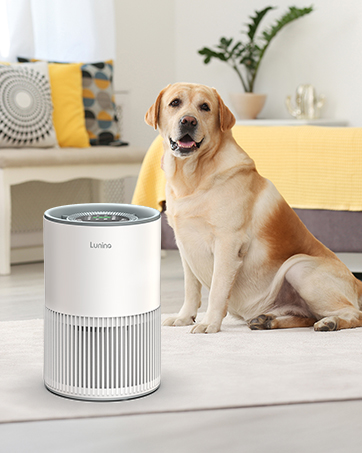 air purifier