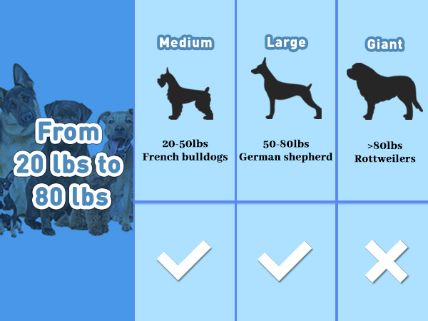 busy bones for dogs