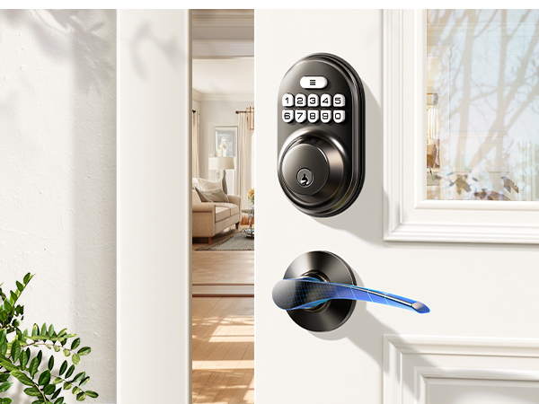 keyless entry door lock with handle 