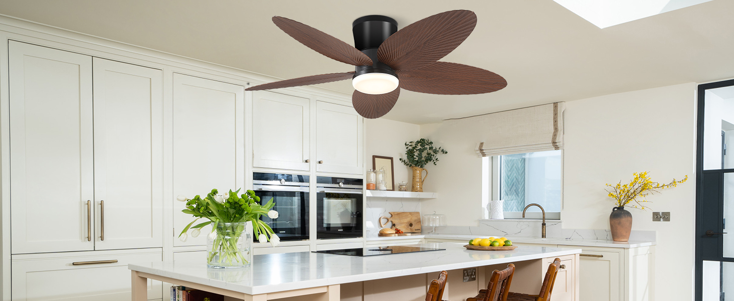 ceiling fan