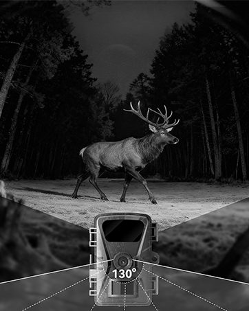 trail cameras with night vision motion activated waterproof