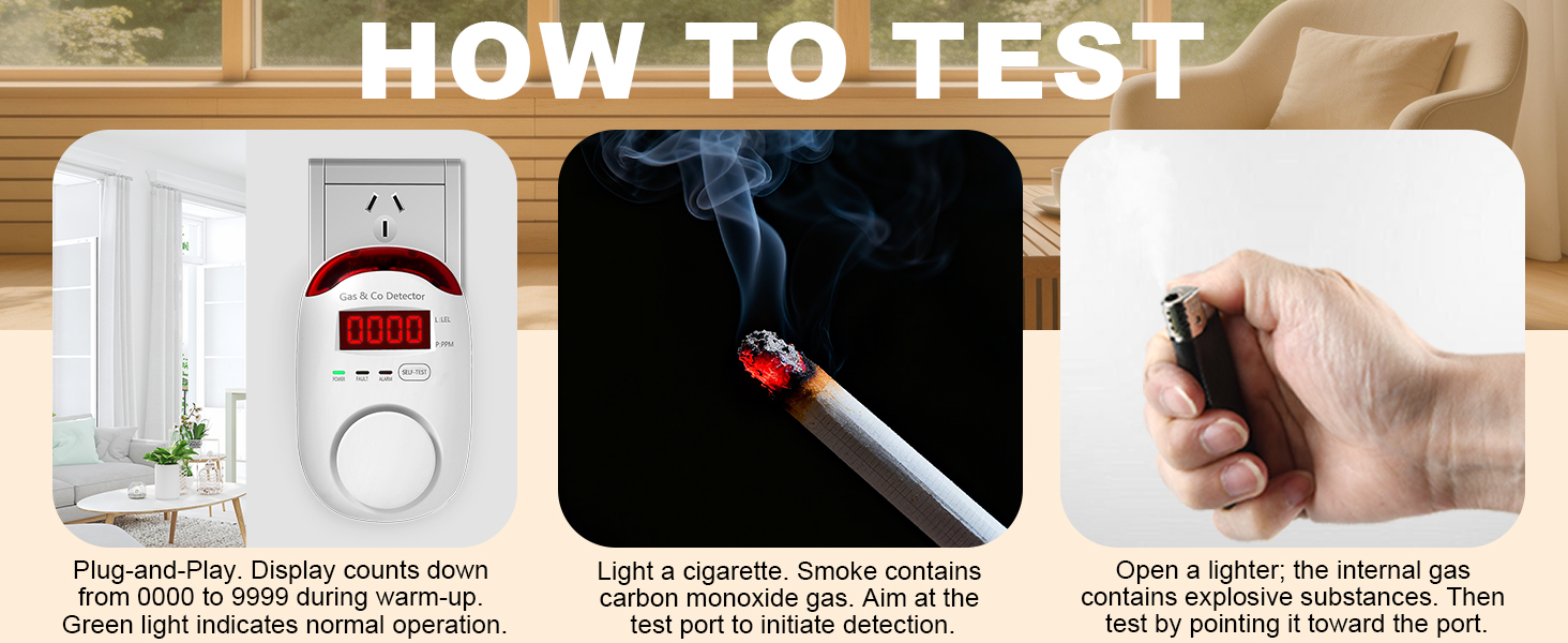 natural gas and carbon monoxide detector