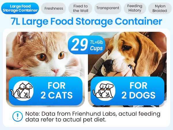 automatic feeder cat dry food