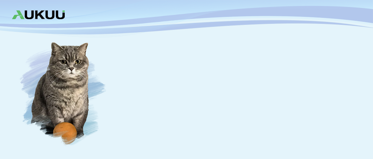 Purity in Every Breath