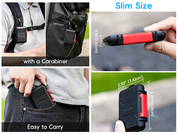 Memory Card Case
