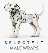 Paw Inspired Select Fit Disposable Male Wrap | Belly Band for Male Dogs with Extended Absorbent C...