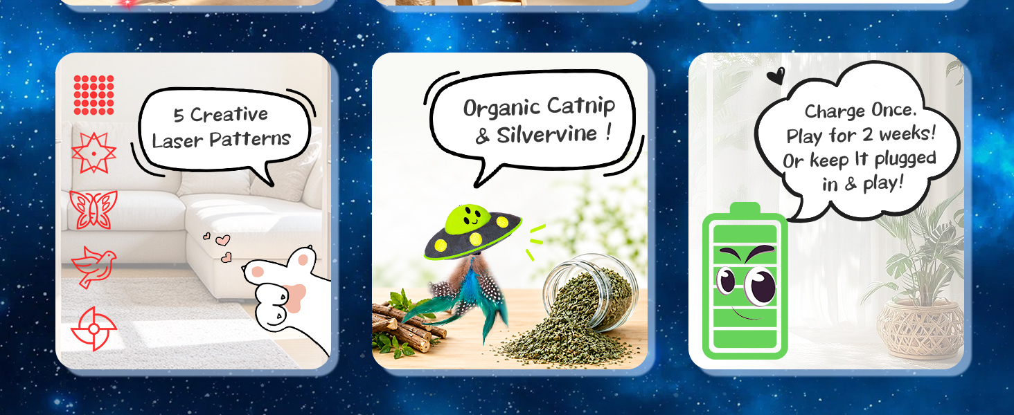 cat toys