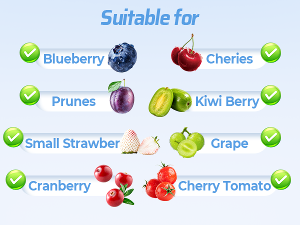 Electric Fruit and Vegetable Washer Machine