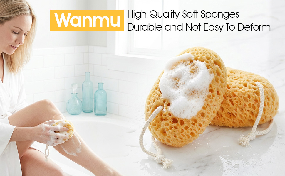 Bath Sponge