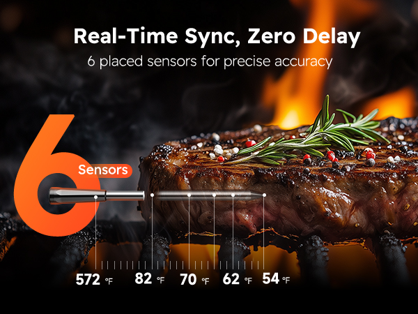 Meat Thermometer