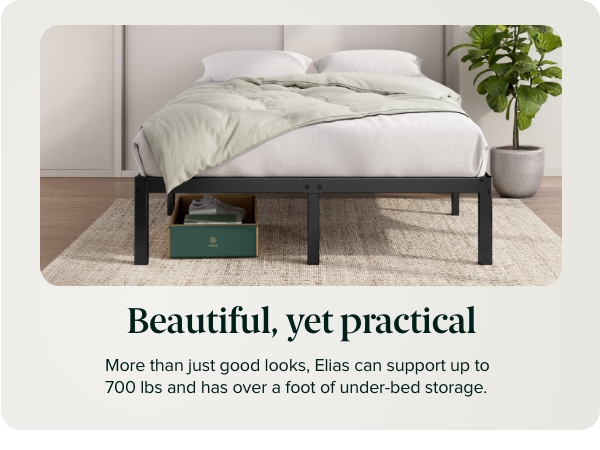 Elias 14 Inch Metal Platform Bed Frame