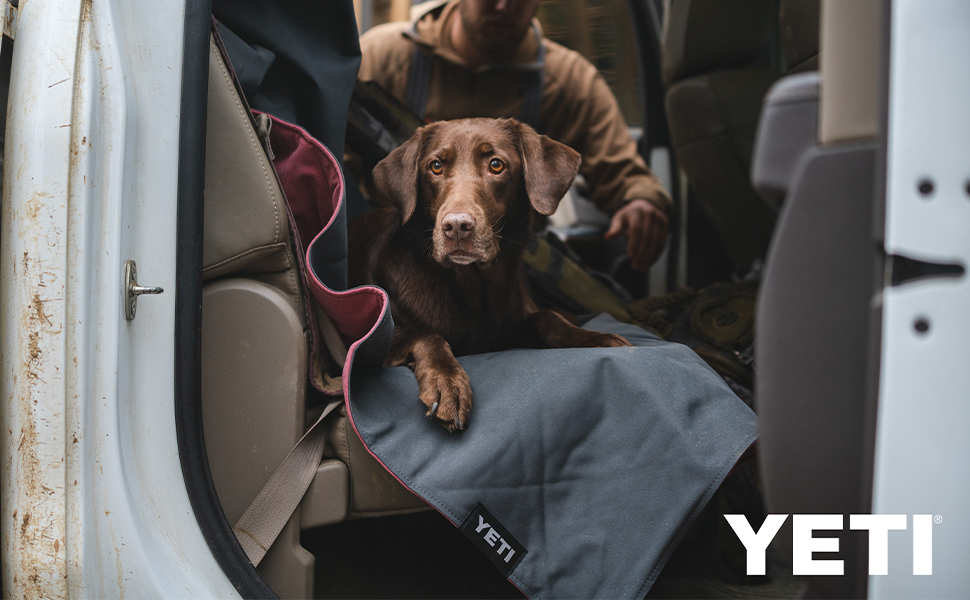 dog blanket