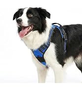 Funfox Dog Harness No Pull, Adjustable Pet Vest Harness Blue M with Handle, 2 Leash Clips for Dai...