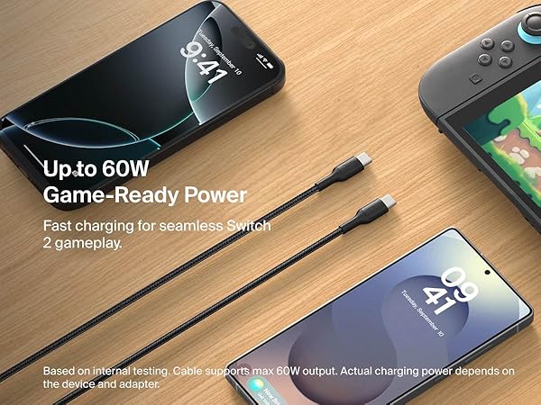 Nintendo Switch Charging Cable