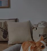 Sunloy 5 Pack Black Light UV Flashlight, 9 LED 395nm Ultraviolet Blacklight Flashlight, Handheld ...