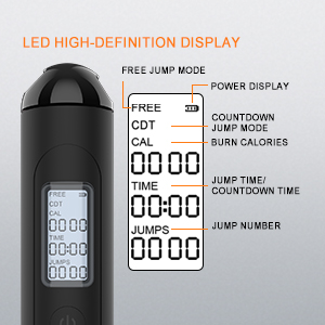 LED HIGH-DEFINITION DISPLAY