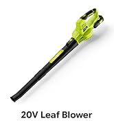 SnapFresh Leaf Blower Cordless, 2.7LBS Electric Leaf Blower 2-Speed Control | UL Certified 2.0Ah ...