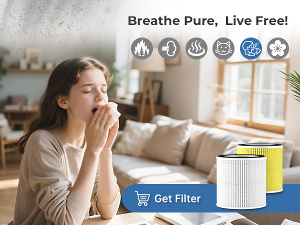air purifiers for home