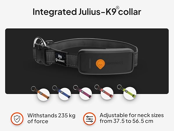 Text reads 'Integrated Julius-K9 collar'. Multiple views of a black dog collar with electronic components and LED indicators. Technical specifications show '37 tons of force'.