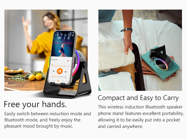 Wireless Induction Speaker