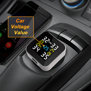 Car Voltage Value