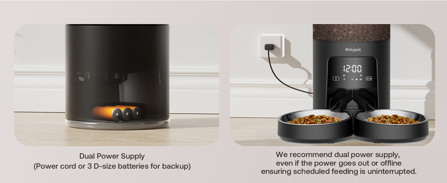 automatic cat food dispenser